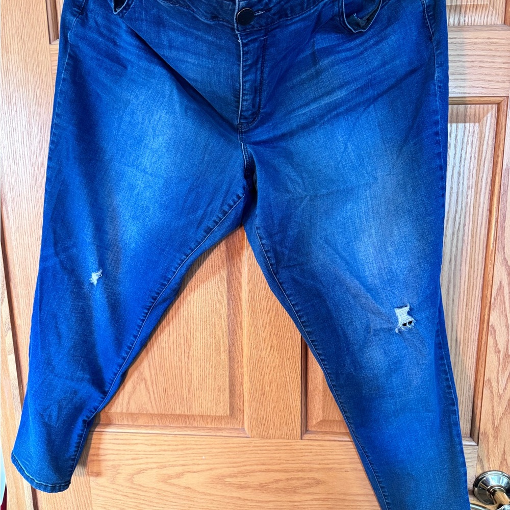 Democracy Blue Skinny Jeans Classic Denim